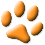 Cat Games Free icon