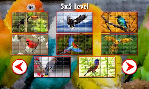 Birds Puzzles screenshot 6