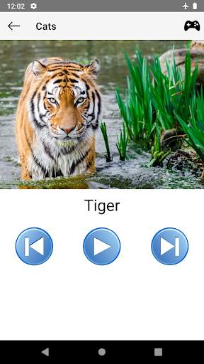 Animal sounds for kids and toddlers screenshot 2