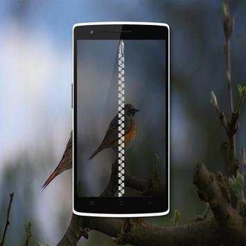 Bird Zipper Lock Screen screenshot 1