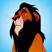 Wallpaper the lion king and queen  HD 1.0