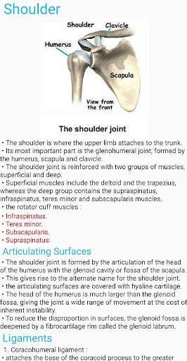 Human Anatomy E Theories screenshot 5