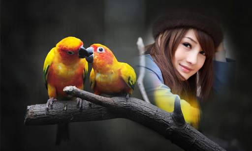 Birds Photo Frames 1 تصوير الشاشة