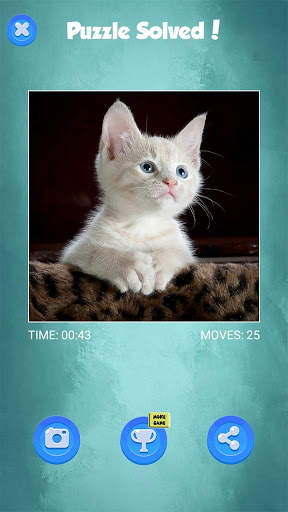 Cute Baby Cats Jigsaw Puzzle Game screenshot 8