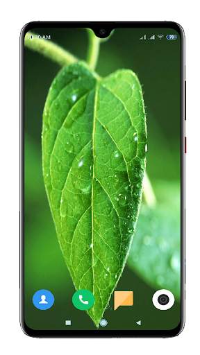 Green Wallpaper HD screenshot 4