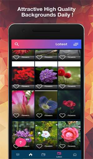 Flower Wallpaper Live - 4K Flower Wallpapers Free screenshot 4