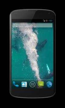 Whales Free Video Wallpaper screenshot 2