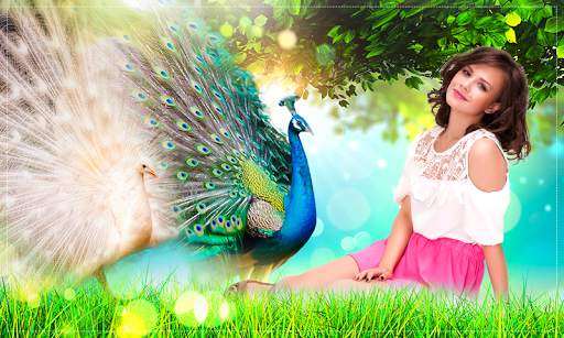Peacock Photo Frames Novel screenshot 4