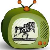 Oriya TV All Channel 1.0