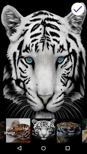 Tiger Lock Screen 8 تصوير الشاشة