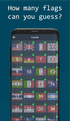 Guess 262 flags скриншот 3