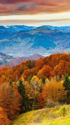 Autumn Wallpapers | hd backgrounds screenshot 3