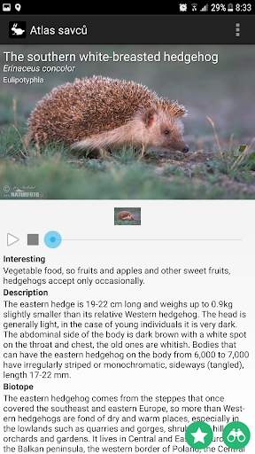 Mammals of Europe Free screenshot 1