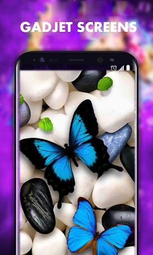 Beautiful Butterfly Wallpapers HD screenshot 2