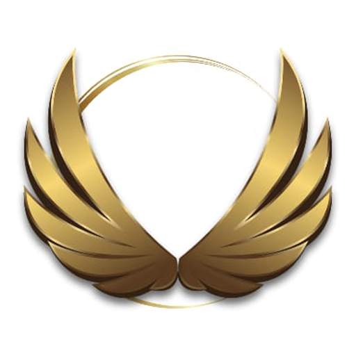Ender Coaching 1.6.3