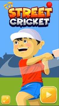 Mitro Street Cricket screenshot 2