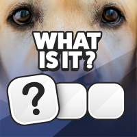 Guess it! Zoom Pic Trivia Game logo