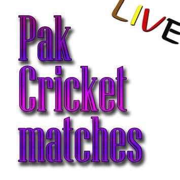 pak cricket screenshot 2