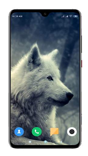 Wolf Wallpaper 4K screenshot 14