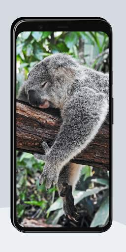 Funny Wallpapers screenshot 2