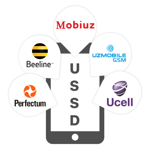 USSD Pro icon