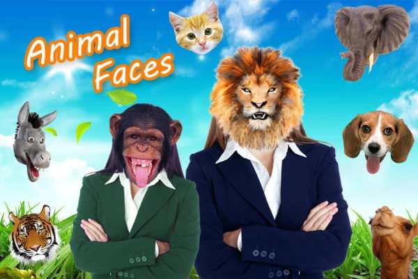 Animal Faces screenshot 1