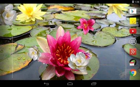 Lily on Water Live Wallpaper screenshot 7