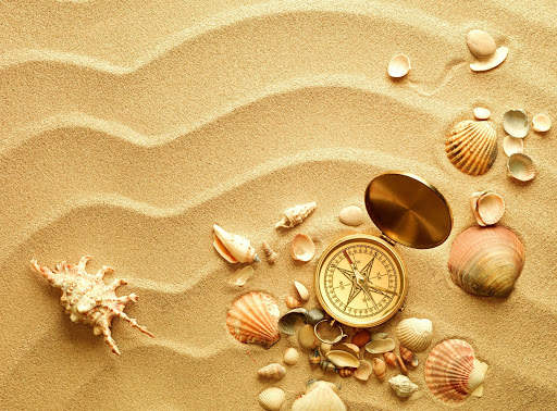 Seashells Live Wallpaper (Backgrounds) screenshot 5