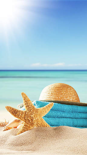 Seashell wallpaper HD screenshot 3