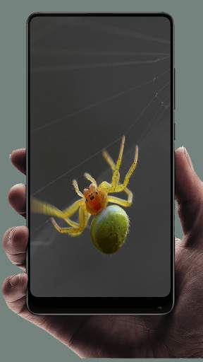 Spider Wallpaper screenshot 4