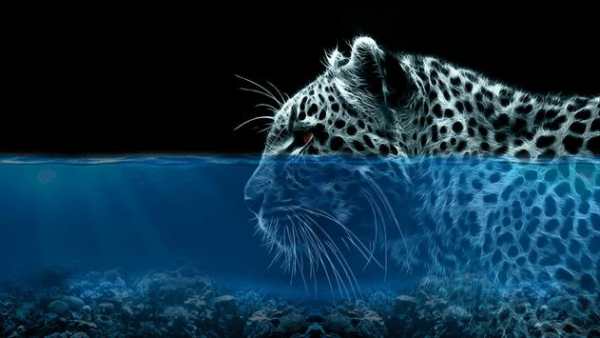 3D Water Camera screenshot 3