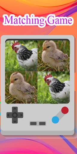 Hen matching game screenshot 7