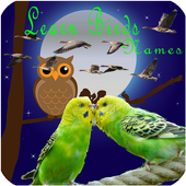 Kids Learning Birds Name icon