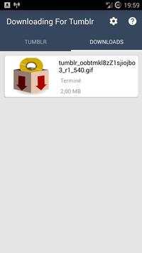 Downloading media for Tumblr NEW screenshot 4