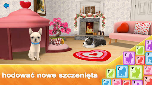 Dog Town: Gra i Psy Gry Sklep screenshot 5