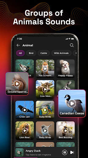 Ringtones: Animal, Funny Sound screenshot 2