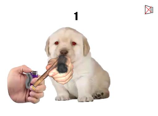¿Quieres? : The Game screenshot 2