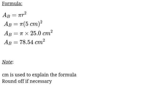 Math Problem Solver screenshot 2