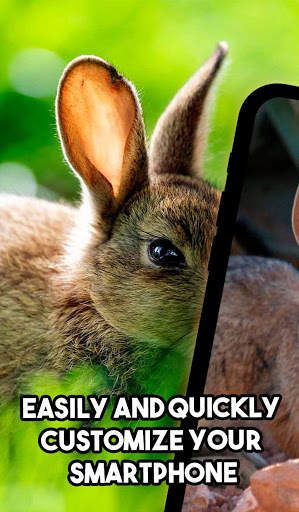 🐰 Rabbit Wallpaper 🐰 - Cute Rabbit Wallpaper 🐇 screenshot 4