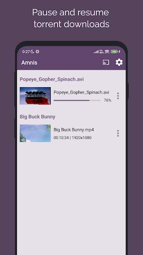 Amnis - Torrent Player screenshot 5