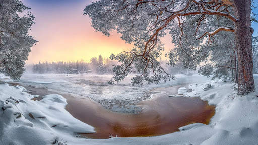 Winter Wallpapers : backgrounds hd screenshot 20