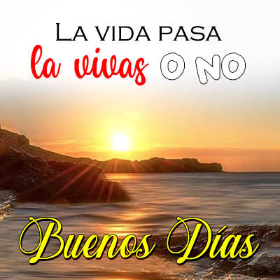 Frases sabias - Frases de vida 1 تصوير الشاشة