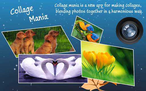 Love Collage Maker скриншот 5