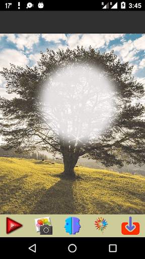 Tree Photo Frames screenshot 7