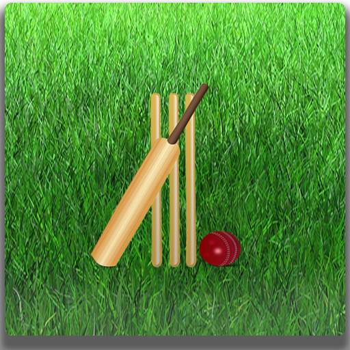 Easy Cricket Scoring 1.6