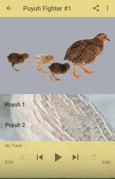 Masteran Isian Burung Puyuh screenshot 2