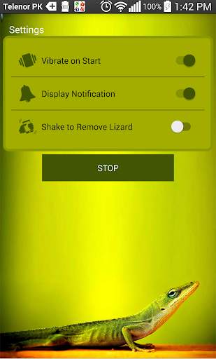 Lizard on social apps – funny prank 2018 screenshot 2
