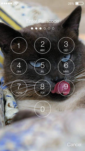 Funny Cat PIN Screen Lock screenshot 2