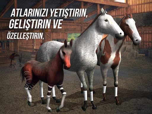 Photo Finish Horse Racing screenshot 10