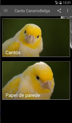 Canary bird sound स्क्रीनशॉट 1